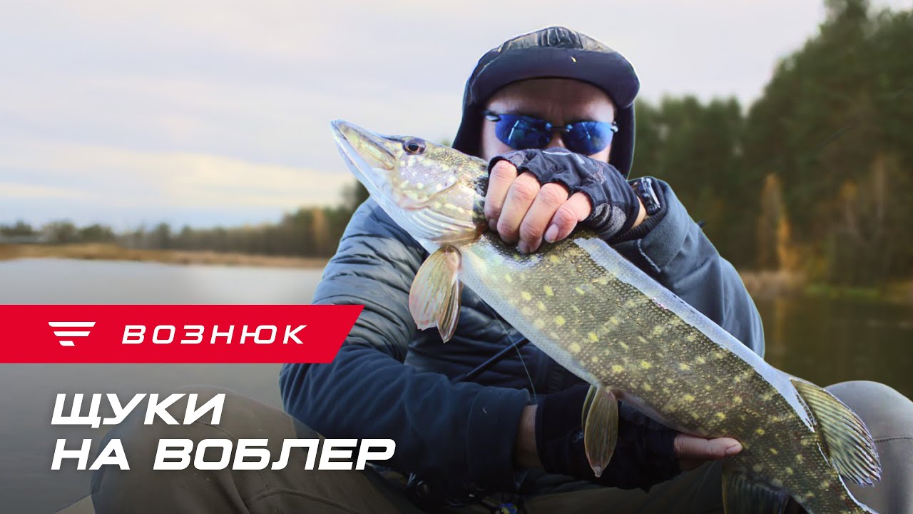 Одна приманка зробила риболовлю. Ловля щуки з човна