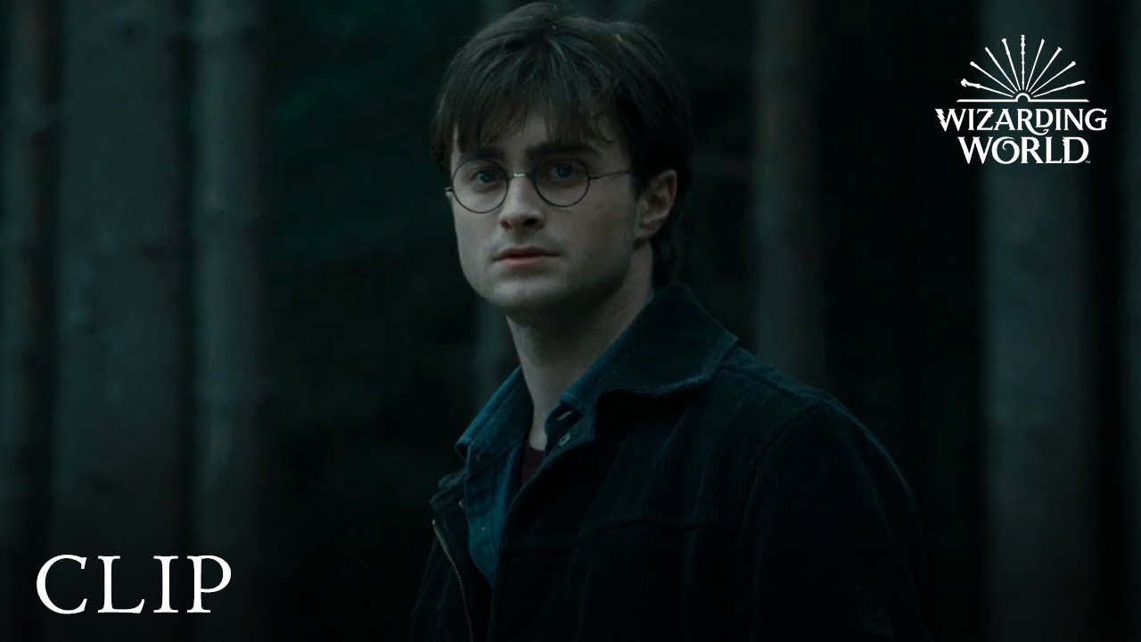 The Trio, Under Threat | Harry Potter and the Deathly Hallows Pt. 1