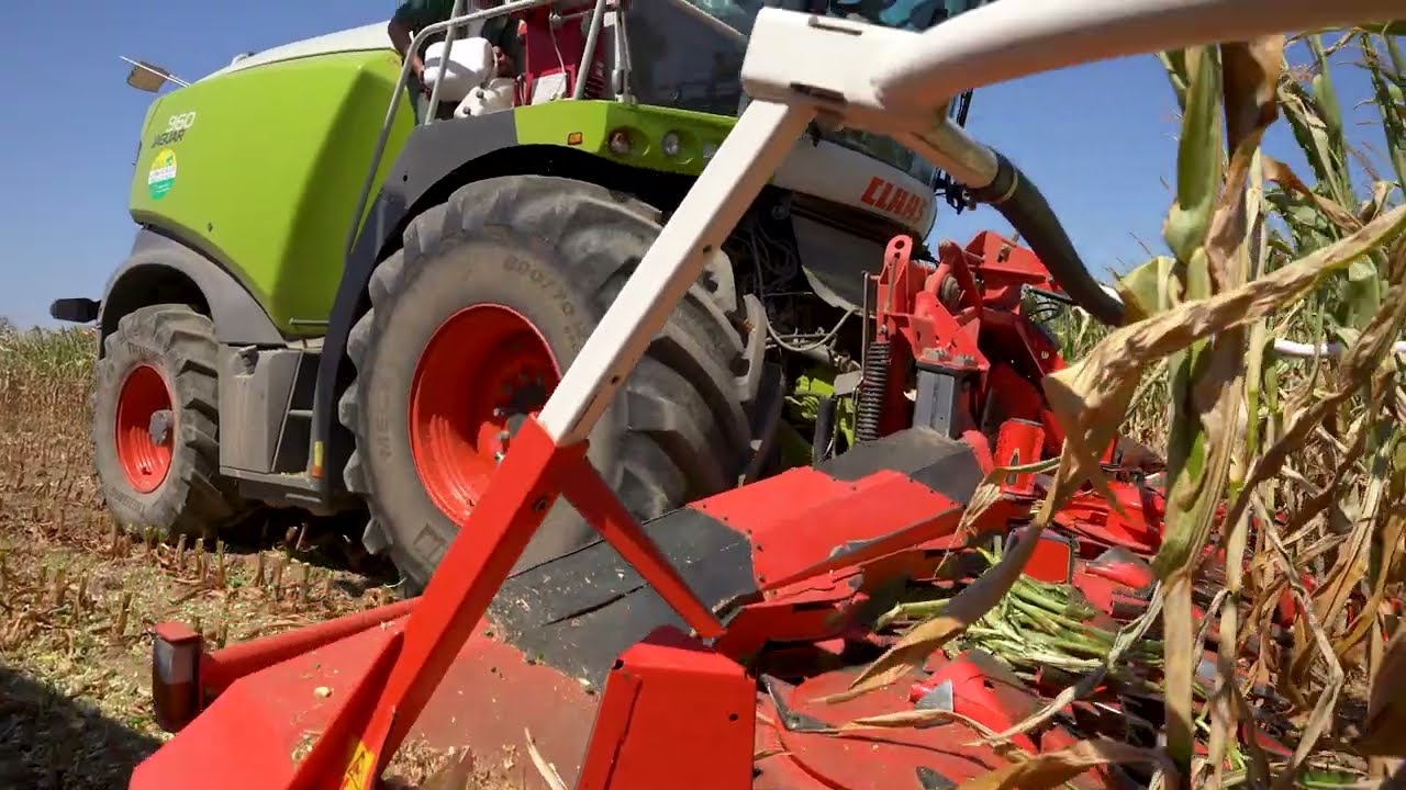 Comment réaliser un silo de maïs de façon optimale ? [Août 2022]