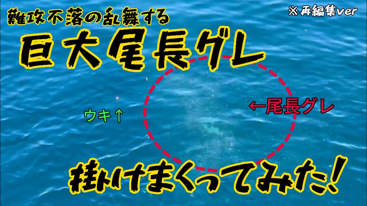 【宮崎県南郷水島】見える巨大尾長グレを掛けまくる！※再編集ver