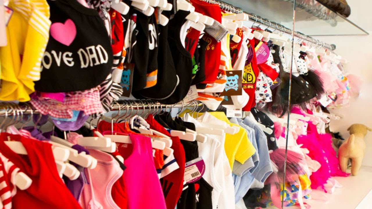 WHAT'S IN MY CLOSET: PET EDITION
