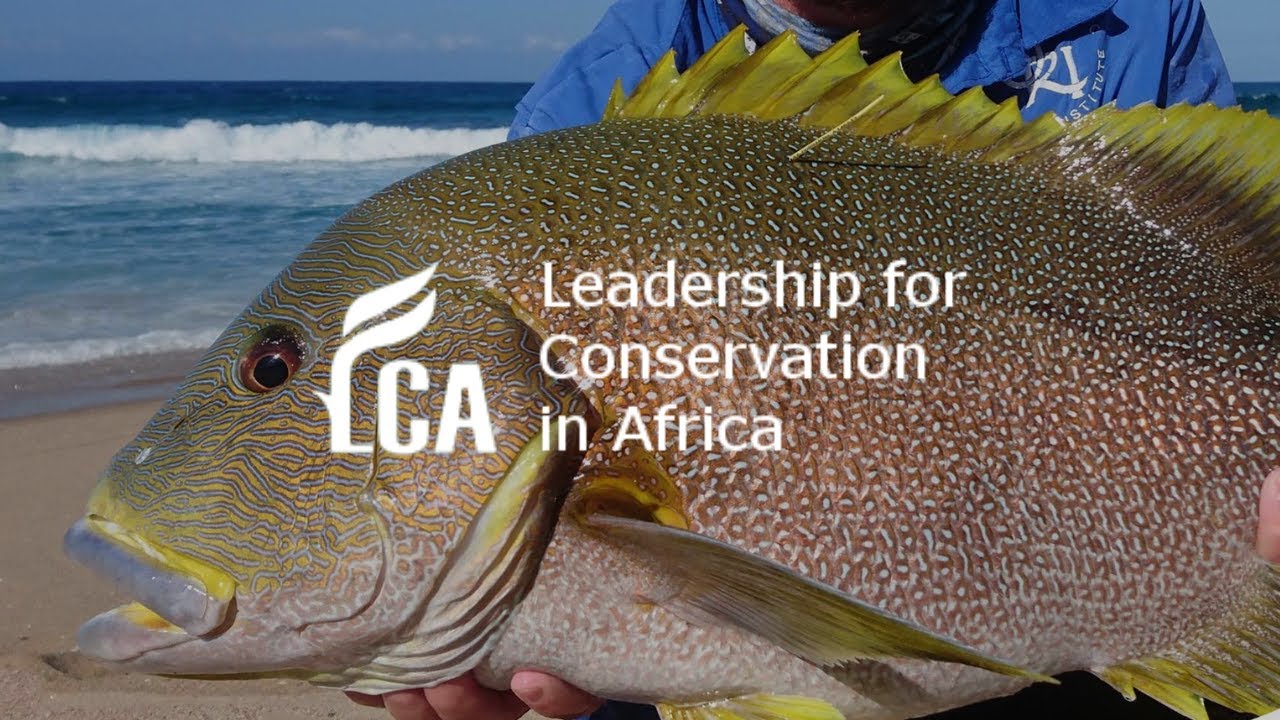 The ORI Cooperative Fish Tagging Project