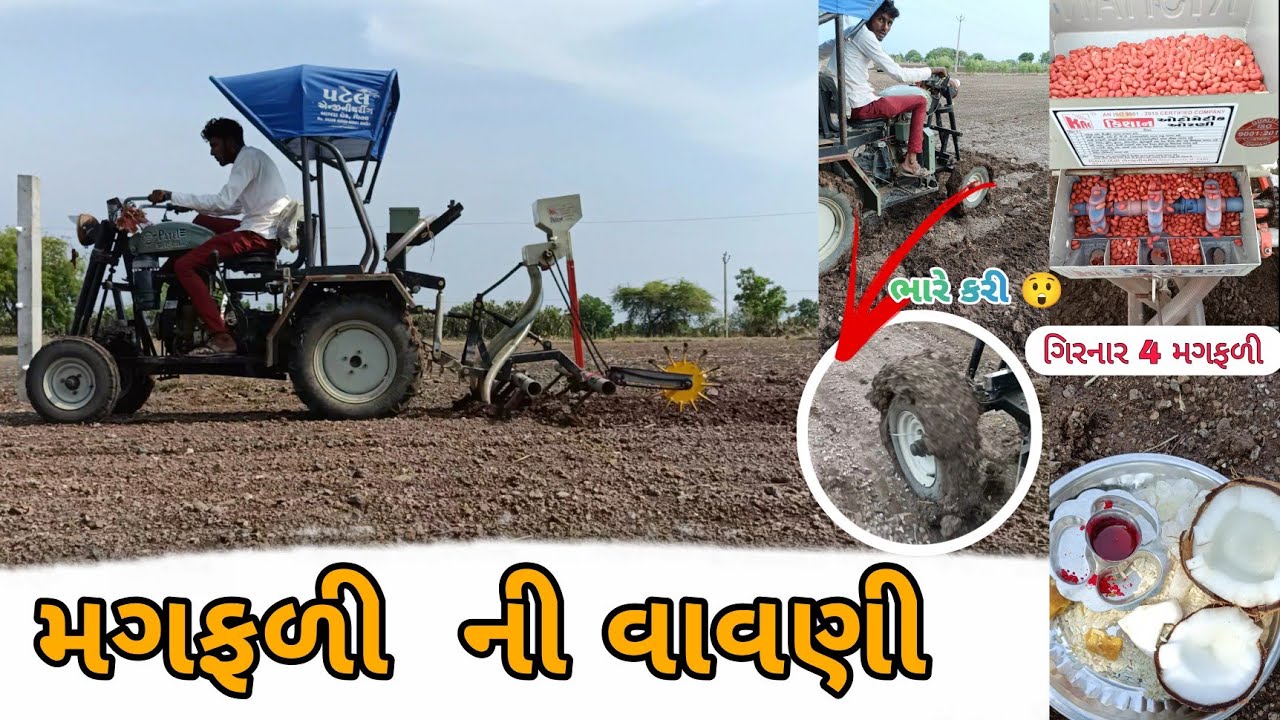 Finally મગફળી 🥜ની વાવણી કરી નાખી | સનેડેથી 🚜 મગફળી વાવી |ગીરનાર 4 મગફળી |Groundnut Sowing |vlog