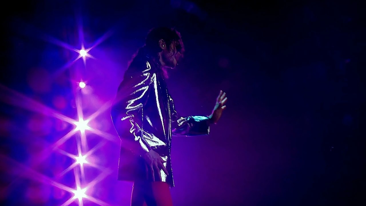 (I LIKE) THE WAY YOU LOVE ME - Live Version - Michael World Tour - Michael Jackson