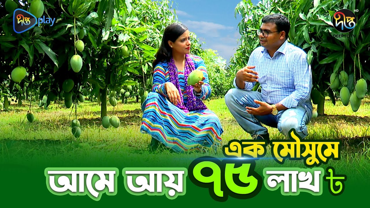 Deepto Krishi | সঠিক পদ্ধতিতে আম চাষে ৭৫ লাখ টাকার বাম্পার আয় | Smart mango farming | EP 1704