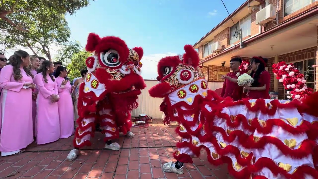 Qing Fong Dragon & Lion Dance | Canley Vale Tea Ceremony Wedding | NOV 2025