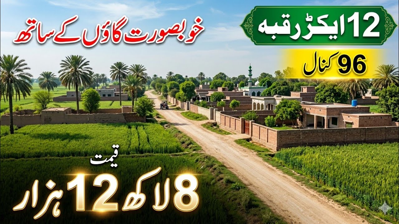 12-Acre Low-Price Agricultural Land for Sale | Land in Punjab, Pakistan | Episode 218