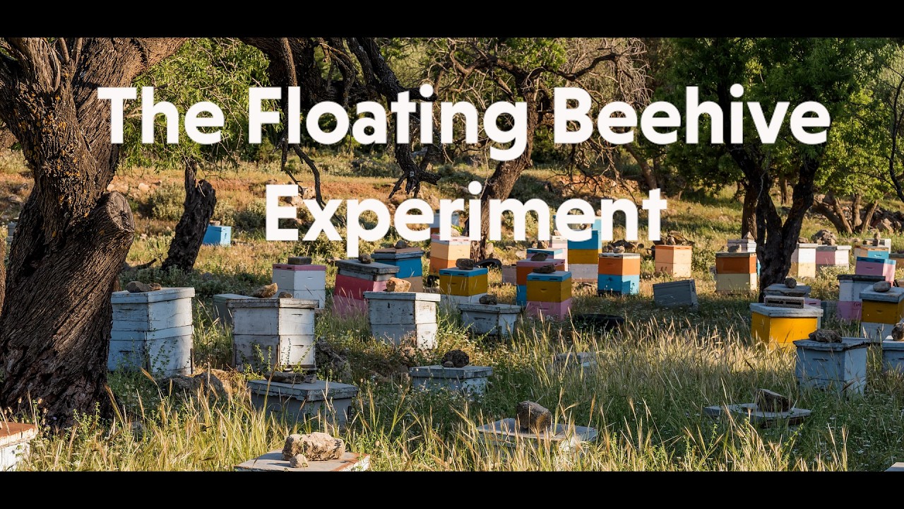 The Floating Beehive Experiment