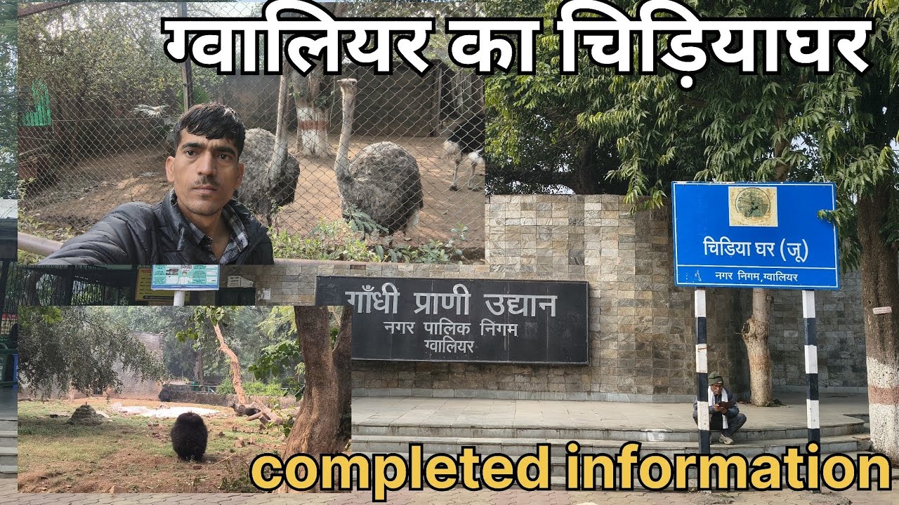 ग्वालियर का चिड़ियाघर गांधी प्राणी उद्यानll कंपलीट इन्फॉर्मेशन देसी ट्रैवलर शिवप्रताप ll