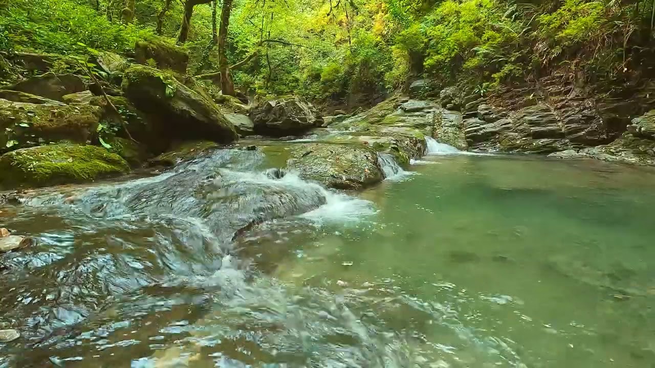 Pure Forest Creek Sounds - 1 Hour of Flowing Water & Birds, No Music, Sleep, Relax & Meditation #4k