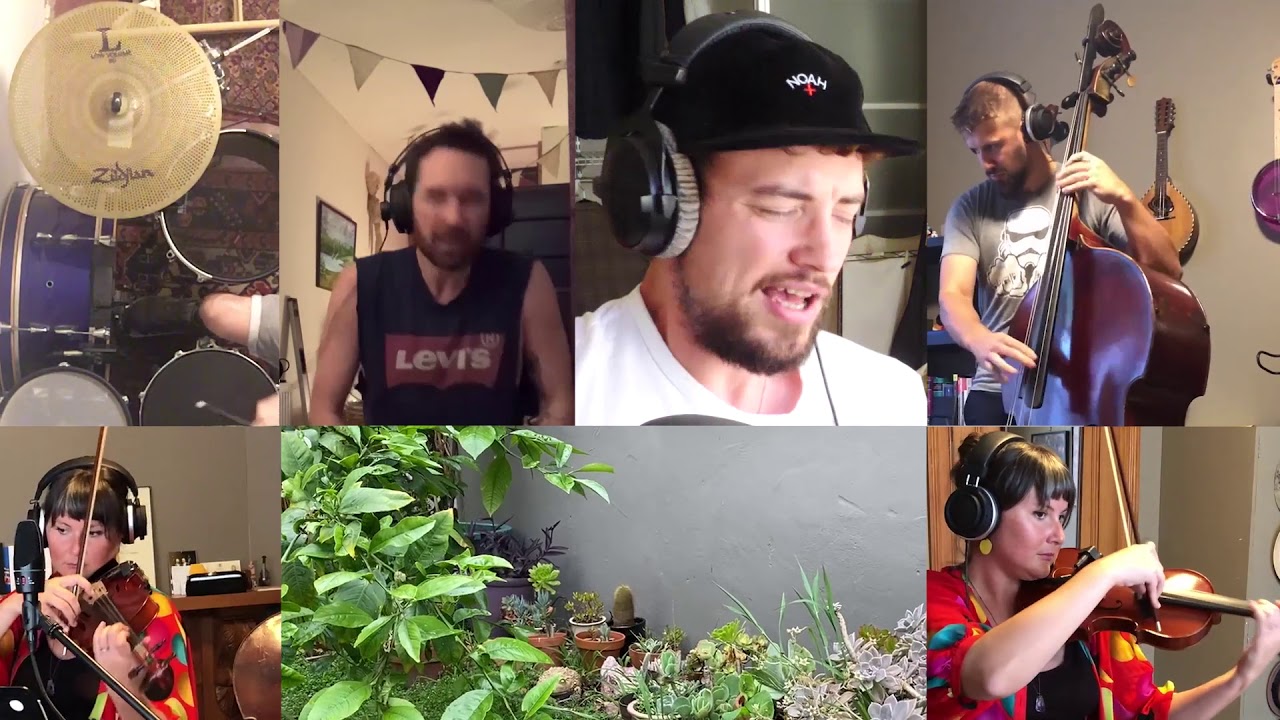 More like Trees - Don't Disturb The Garden