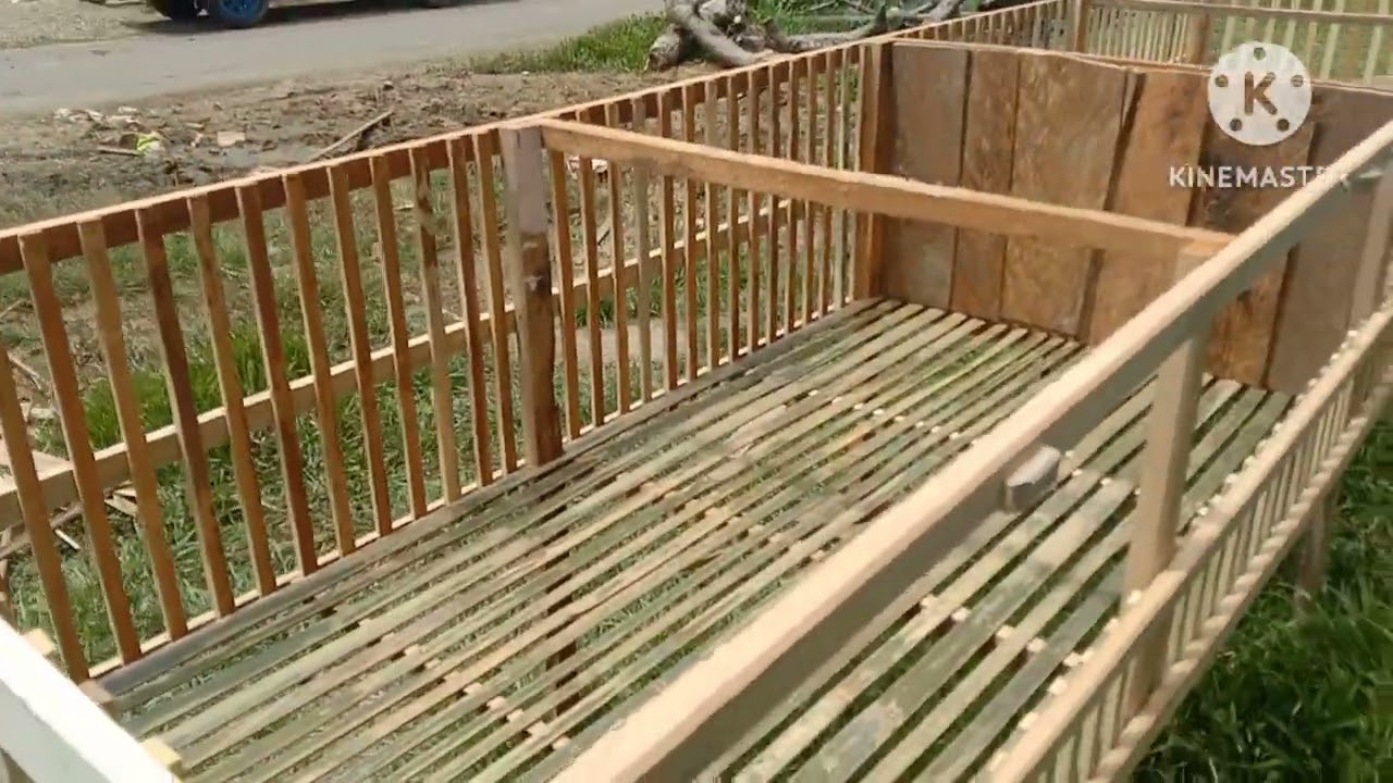 Cara Membuat kandang. pembesaran DOC kapasitas. 200 ekor sampai panen di lahan sempit tengah kota.