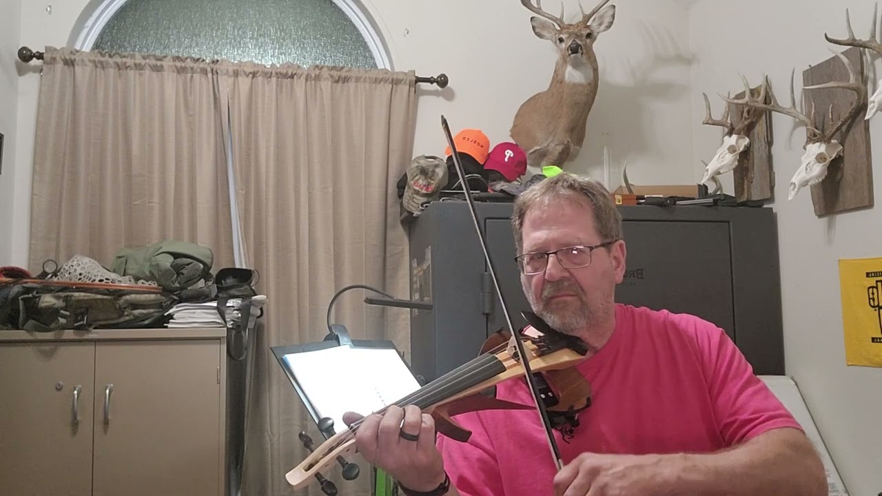Butterfly Kisses violin cover