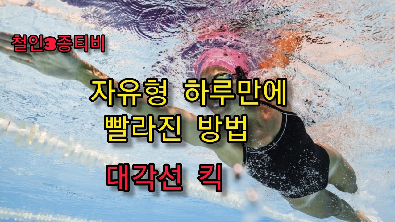 수영 하루만에 빨라진 방법 - 철인3종의 자유형은 다르다