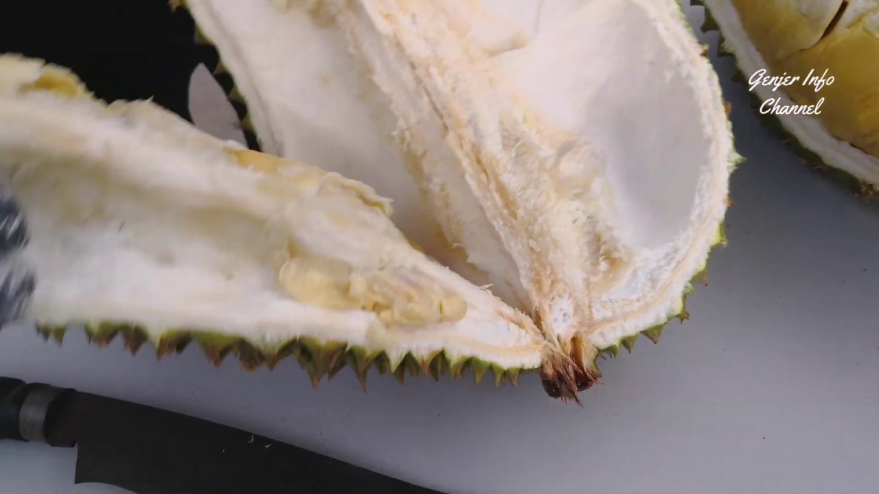 Durian Monthong Malaysia Best