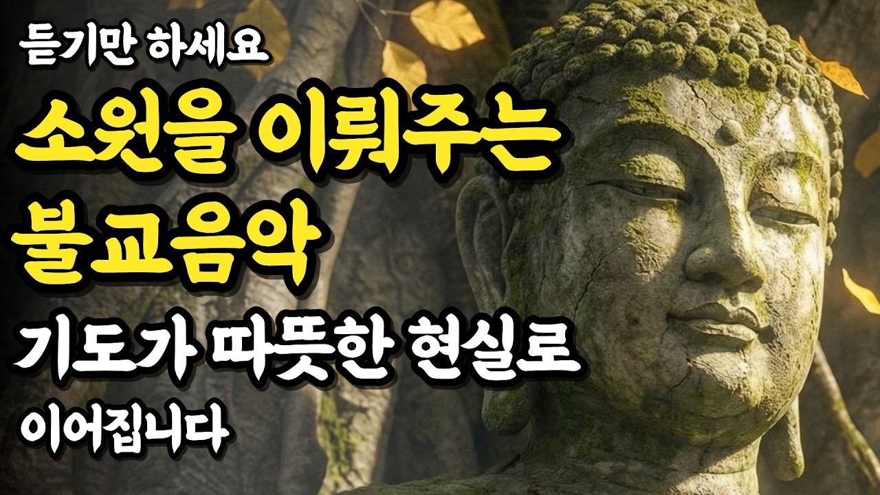 소원 성취 불교 노래 모음 20곡 | 불교 음악, 천수경 감성 기도음악, 새벽명상 플레이리스트