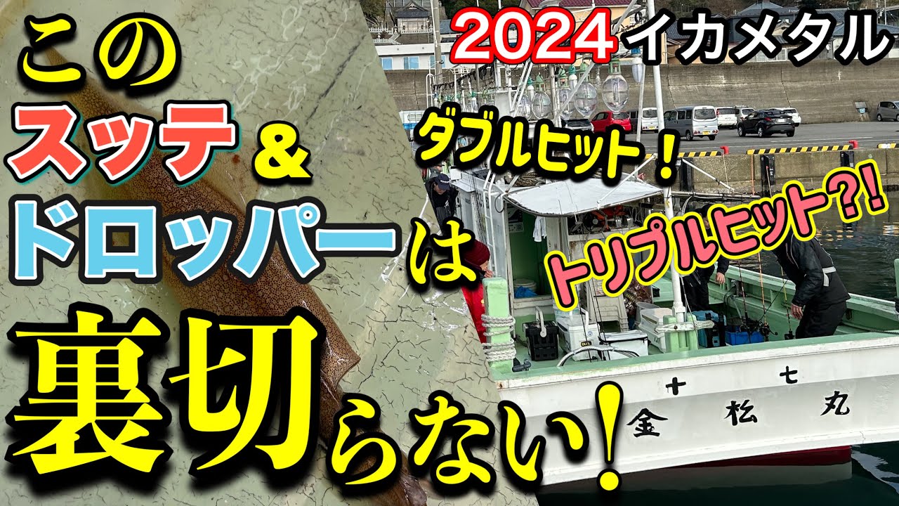 [イカメタル]このスッテ＆ドロッパーは裏切らない！・福井