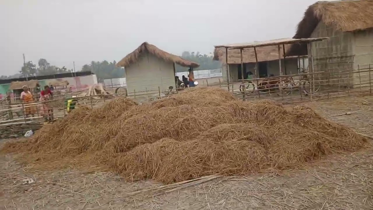 65 थि बोसोरसालिया जथुम्मा बर' थुनलाइ आफाद खुंफुंनाय हाबाफारि लानाय जायो। ///📖📖📖📖📗📙📘