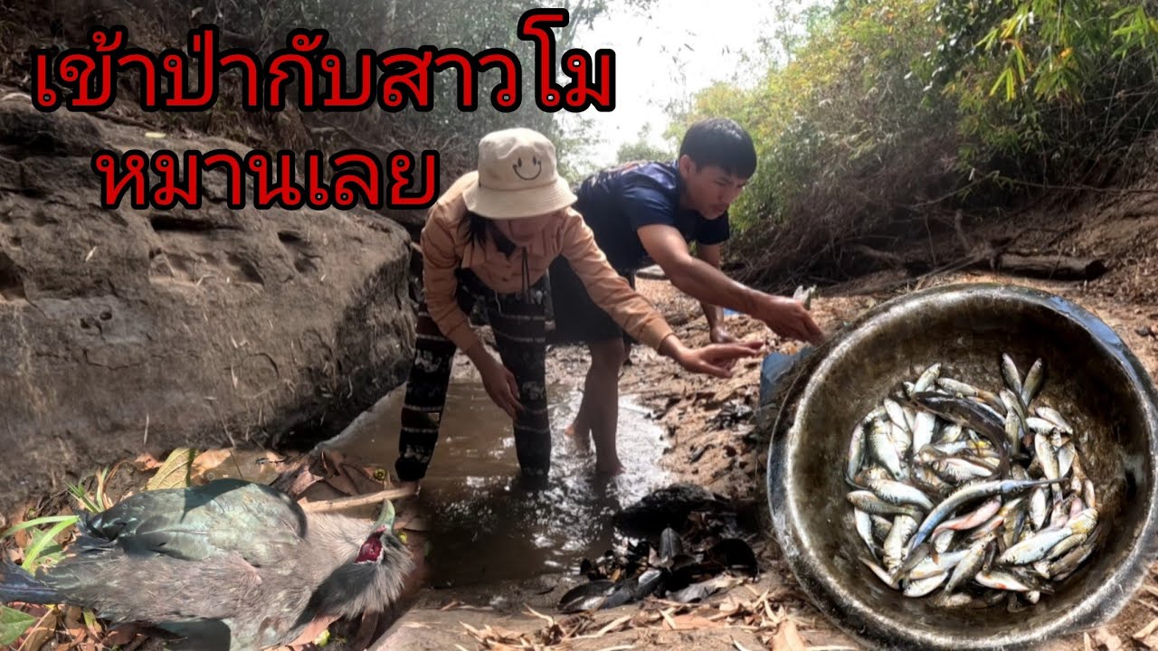 เข้าป่าสองคนหมานเลีย/ເຂົ້າປ່າສອງຄົນຫມານເລີຍ