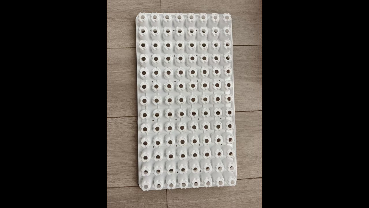 Seeding Tray with 104pcs Holes on our FSCT-680/450-4