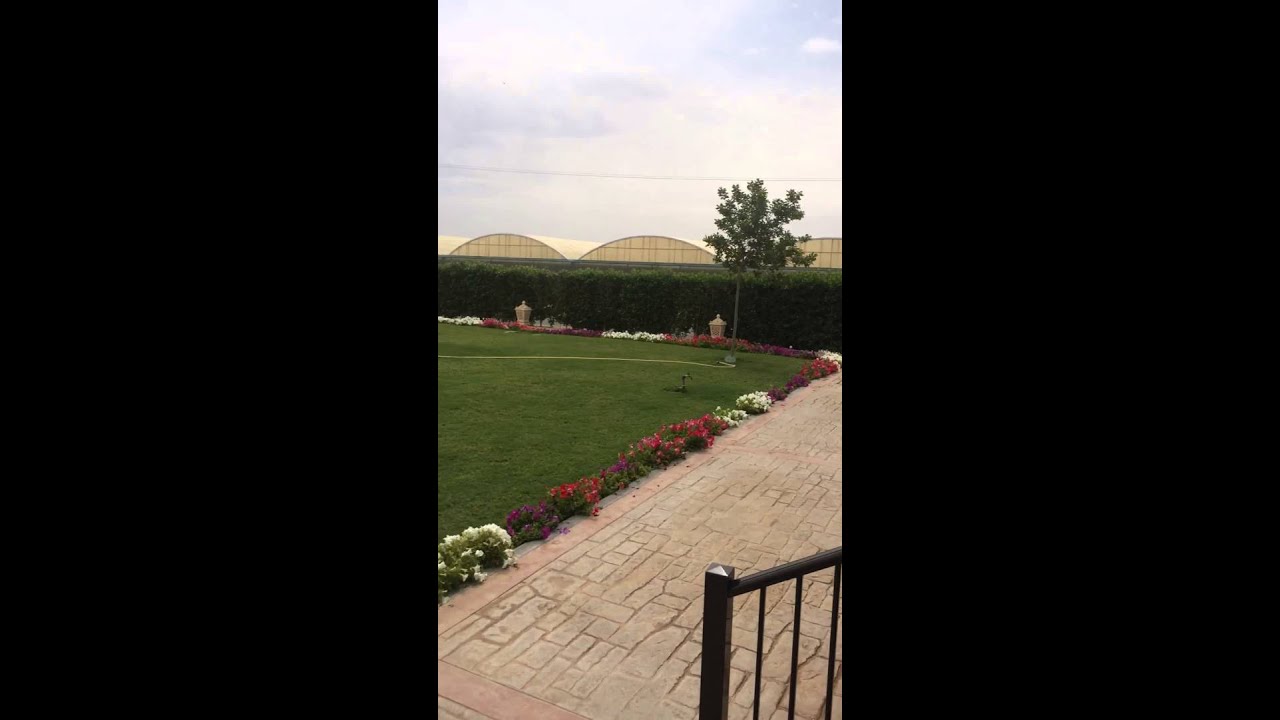 مزرعة الحلبية (الوفرة)