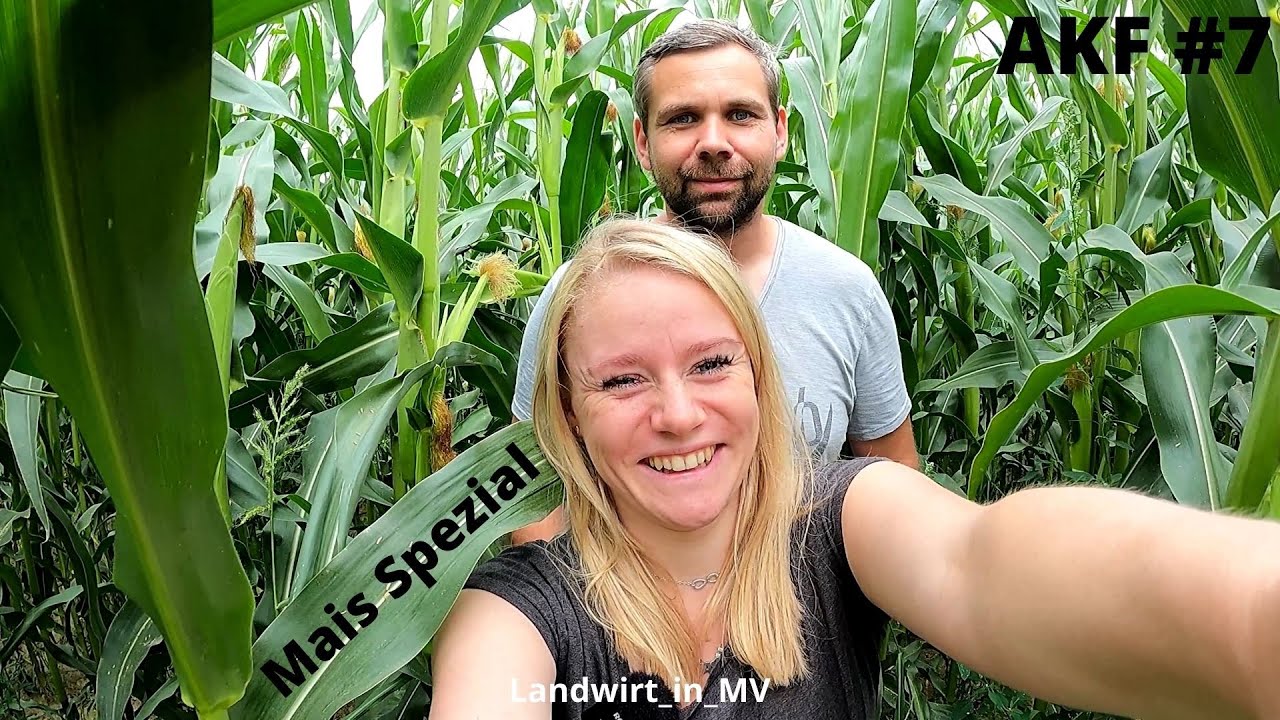 AKF #7  2021 Mais-Spezial/ Sortenversuche/ Mais-Bohnen-Gemenge