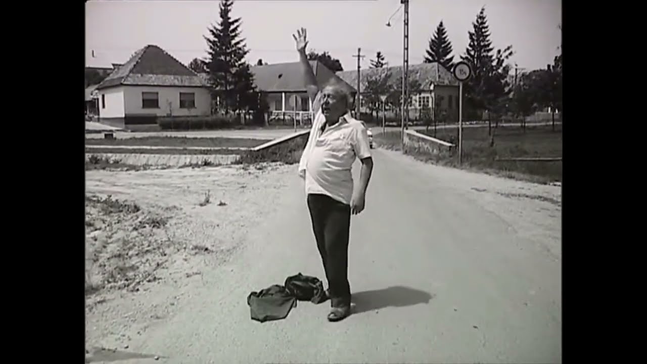 Short's! Leg&eacute;nyanya -&nbsp;Toljuk arr&eacute;bb a kocsm&aacute;t &bull; Wsh&trade;&nbsp; -G&bull;o&bull;I-