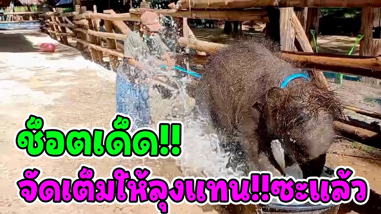 มีนาจัดให้เต็มซะขนาดนี้ ก็มีแต่ความฮาเลยนะสิครับ !!ลุงแทนขา มีนาขอโทษค่ะ