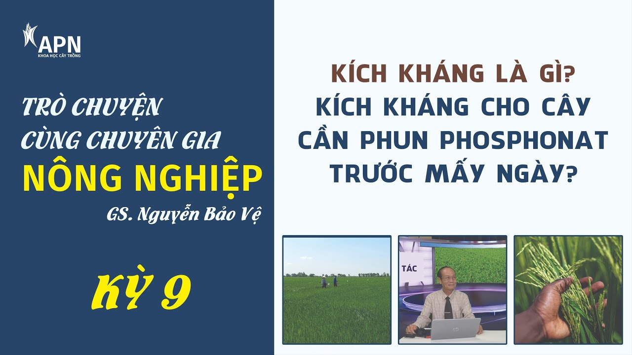 APN - TÌM HIỂU VỀ 
