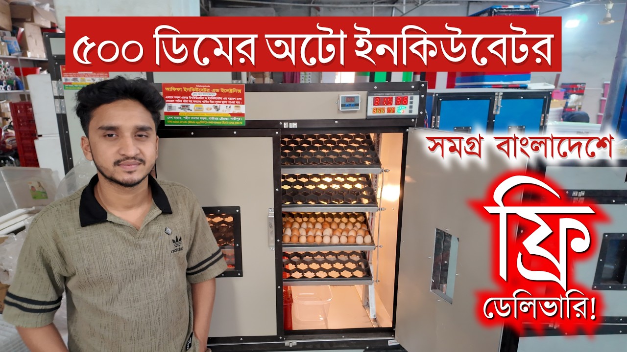 ডেলিভারি ফ্রি? 500 capacity egg incubator । ইনকিউবেটর চালানোর নিয়ম । auto incubator price