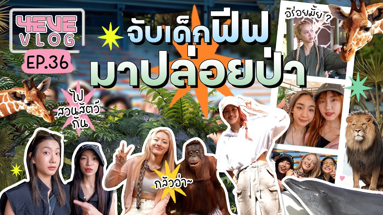 4EVE Vlog EP36  | เมื่อสาวๆ 4EVE โดนหลอกไปซาฟารีเวิลด์!? [ ENG SUB ]