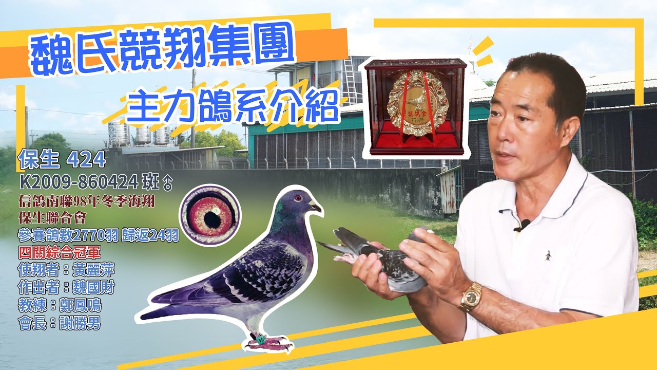 【魏氏競翔集團】魏國財理事長｜主力鴿系介紹
