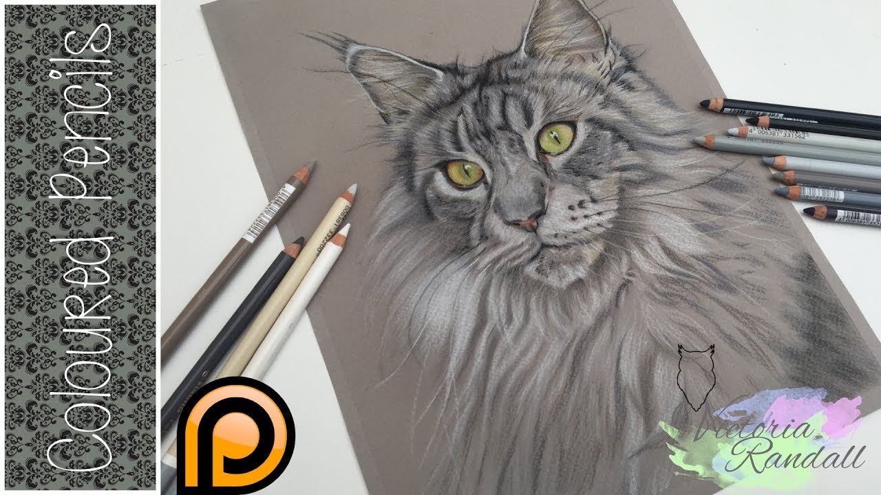Photorealistic Cat in Pastel Pencils