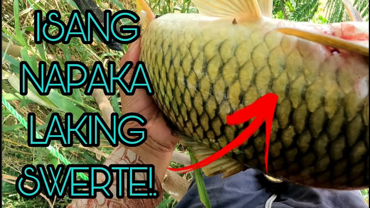 JACKPOT PARIN ANG AKING RESBACK/Airgun Fishing /Fishgunerong Madiskarte