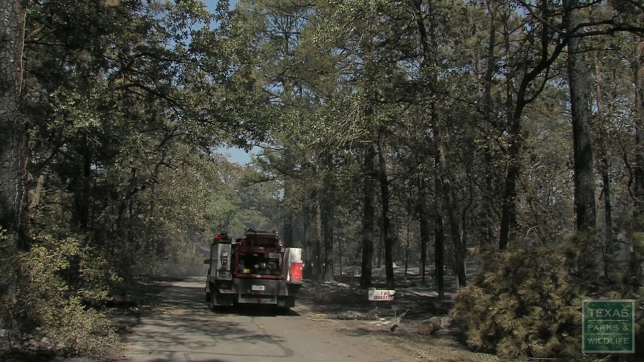 Texas Wildland Firefighting Team