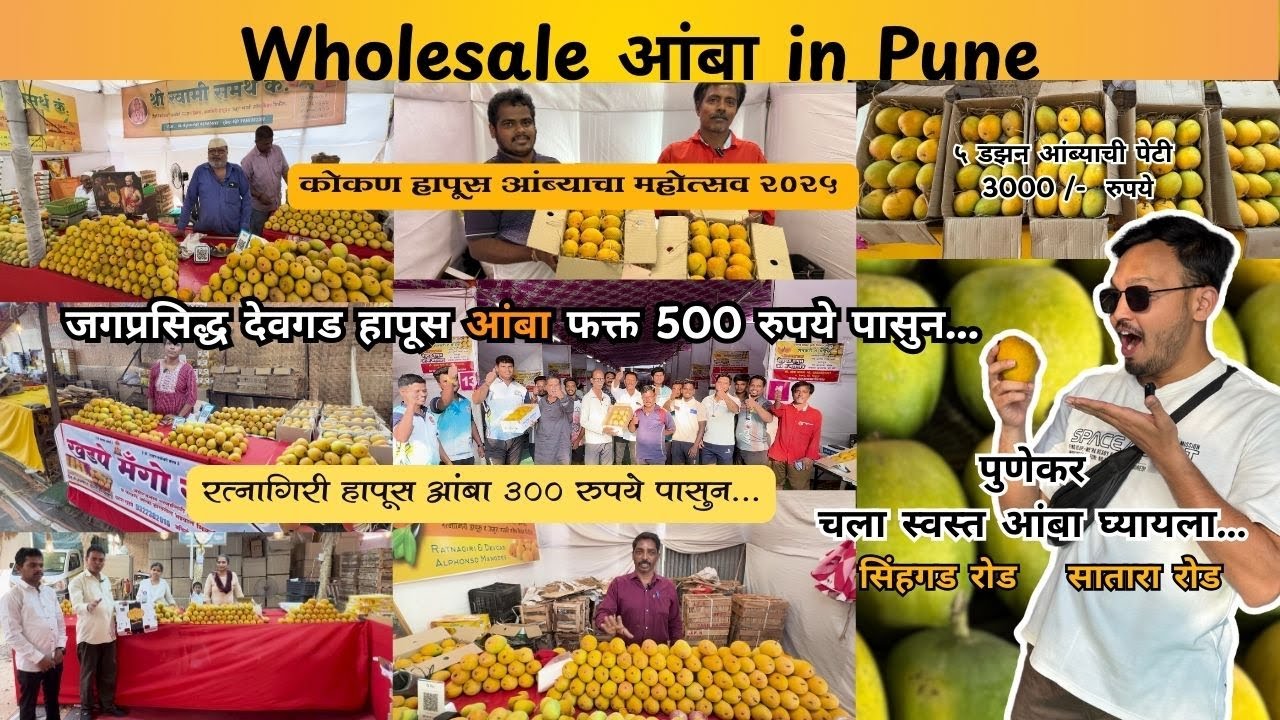 पुण्यात आंबा ३००रुपये डझन पासून |कोकण हापूस आंब्याचा महोत्सव2025|Devgad Hapus Ratnagiri Hapus #aamba