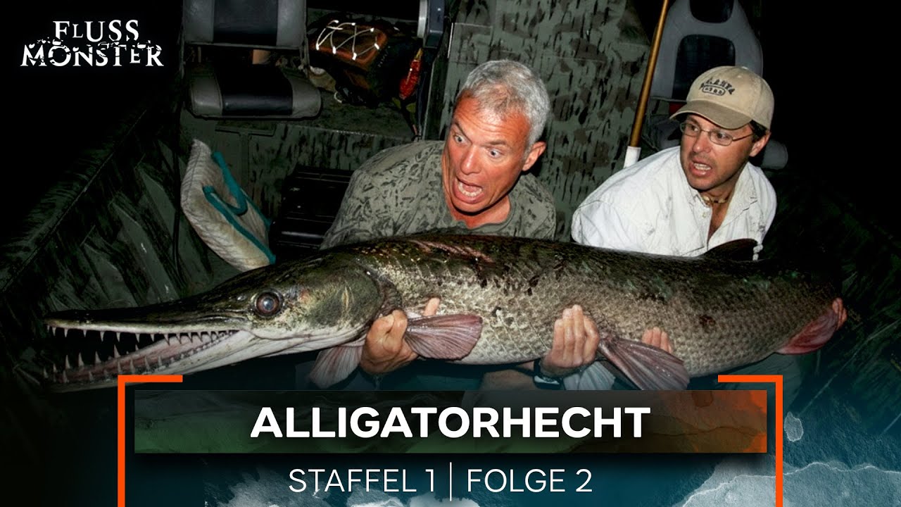 Alligatorhecht: Das gef&auml;hrlichste Flussmonster | Fluss Monster Staffel 1 Folge 2