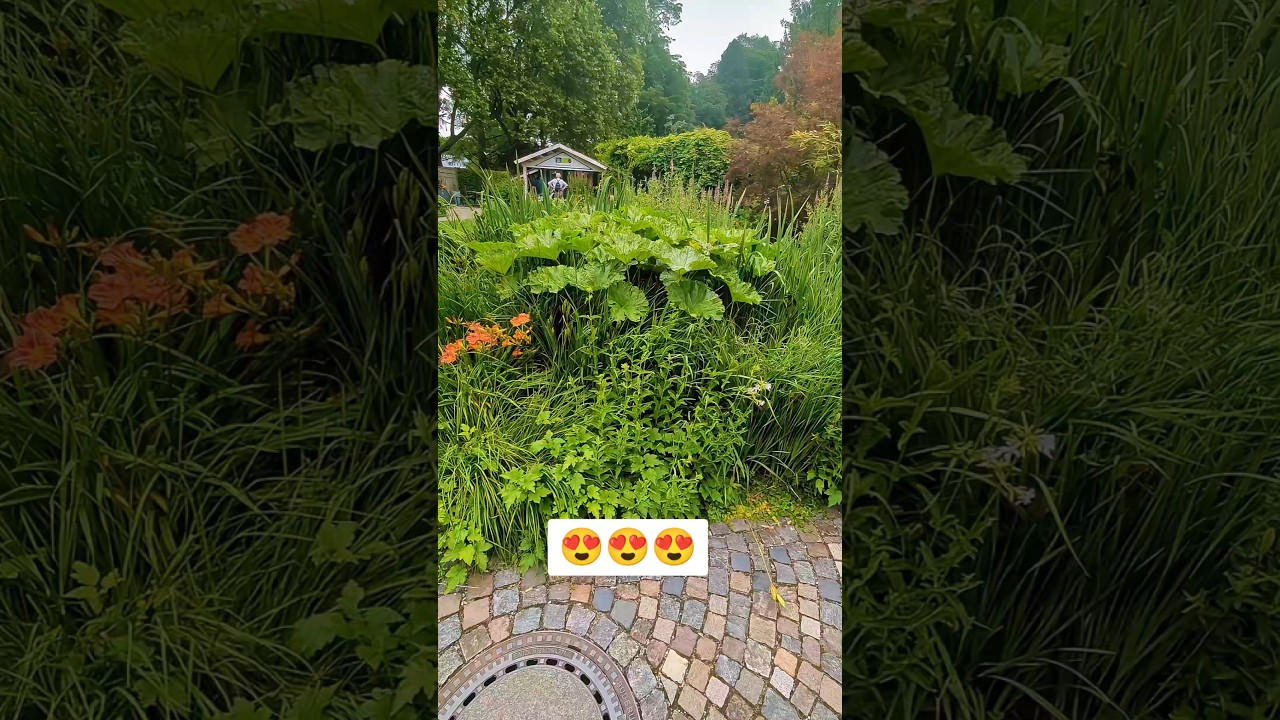 #garden