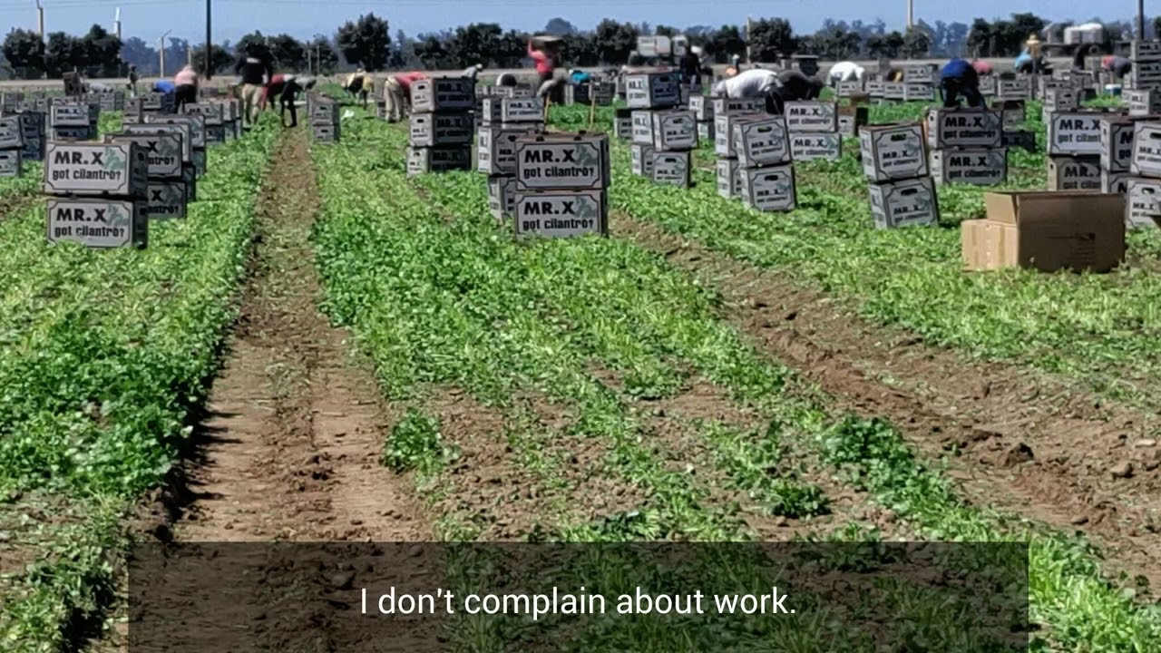 Marisela Mixteco ST English