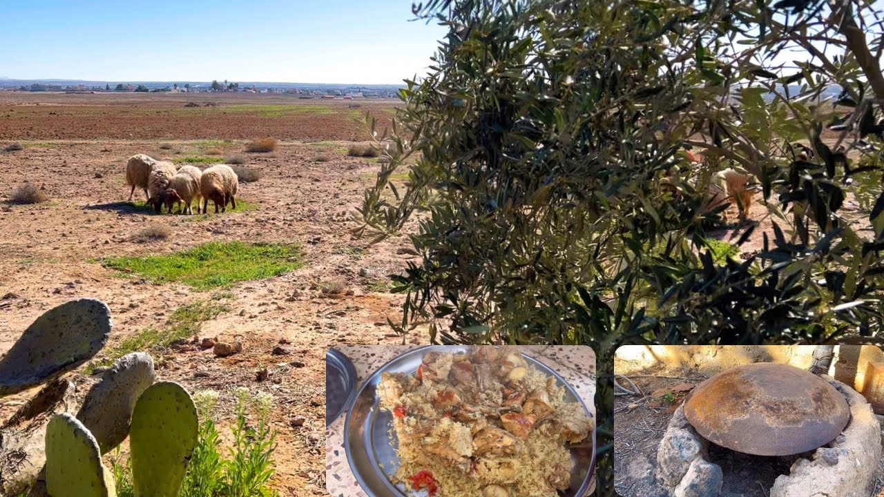 مقلوبة امي ايام زمان على الرويجب واجواء اهلي الحلوه