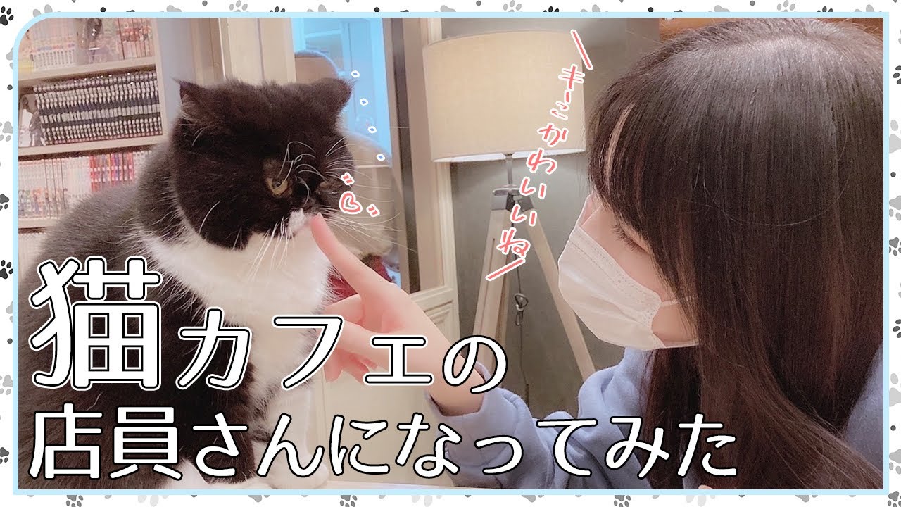 【初バイト】猫カフェの店員さんになってみたら・・・