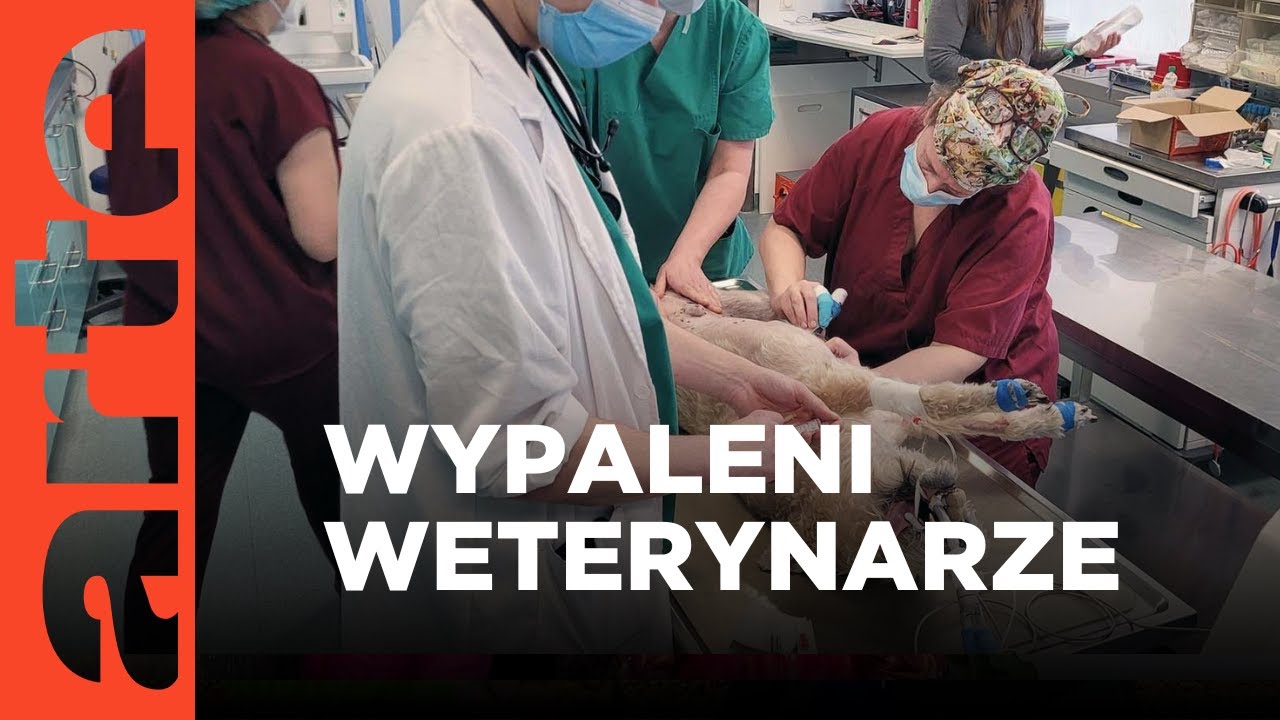 Weterynarze na skraju wyczerpania | ARTE.tv Dokumenty