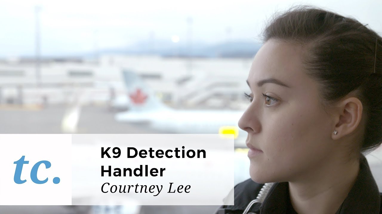 Sniffing for Bombs: What it Takes To Be a K9 Officer