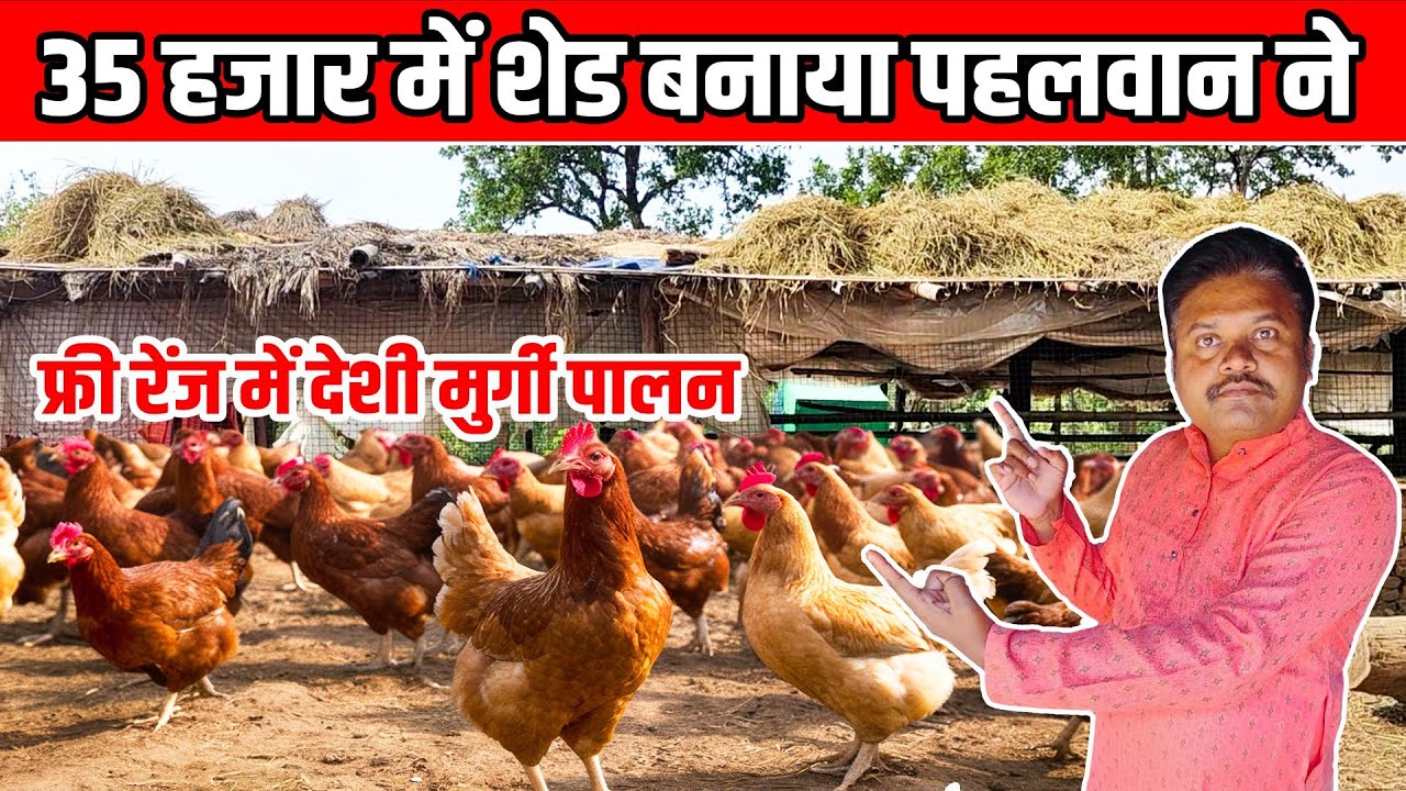 35 हजार में शेड बनाया 