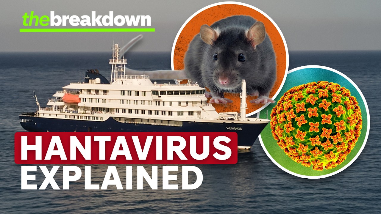 Hantavirus explained as health experts confirm 'Andes' strain outbreak