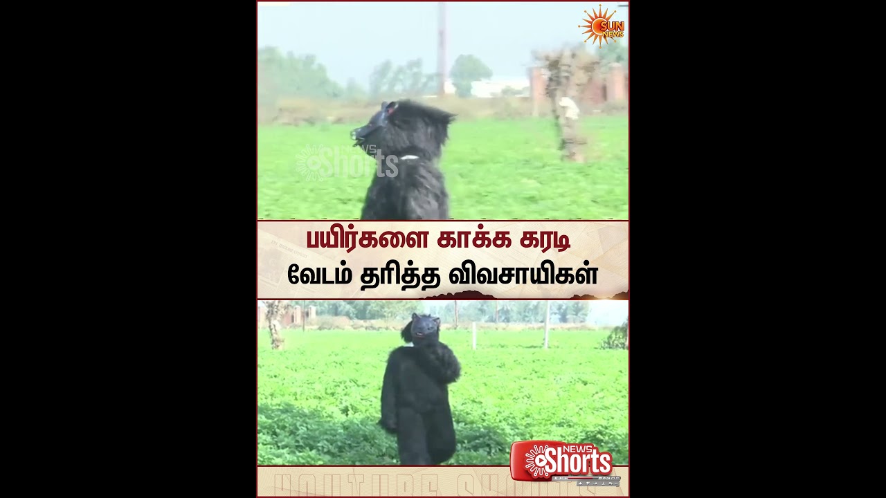 Uttar Pradesh | Farmers | Crops | Monkey | Viral Video | Sun News