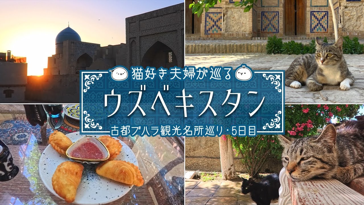 【ウズベキスタン旅】世界遺産の古都ブハラの観光名所＆猫ちゃん触れ合い巡り♪ウズベキスタン旅⑤｜旅Vlog