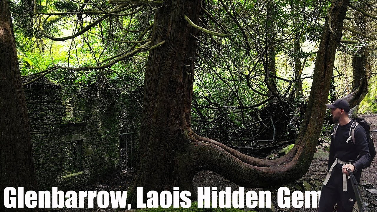 Glenbarrow Laois Hidden Gem...