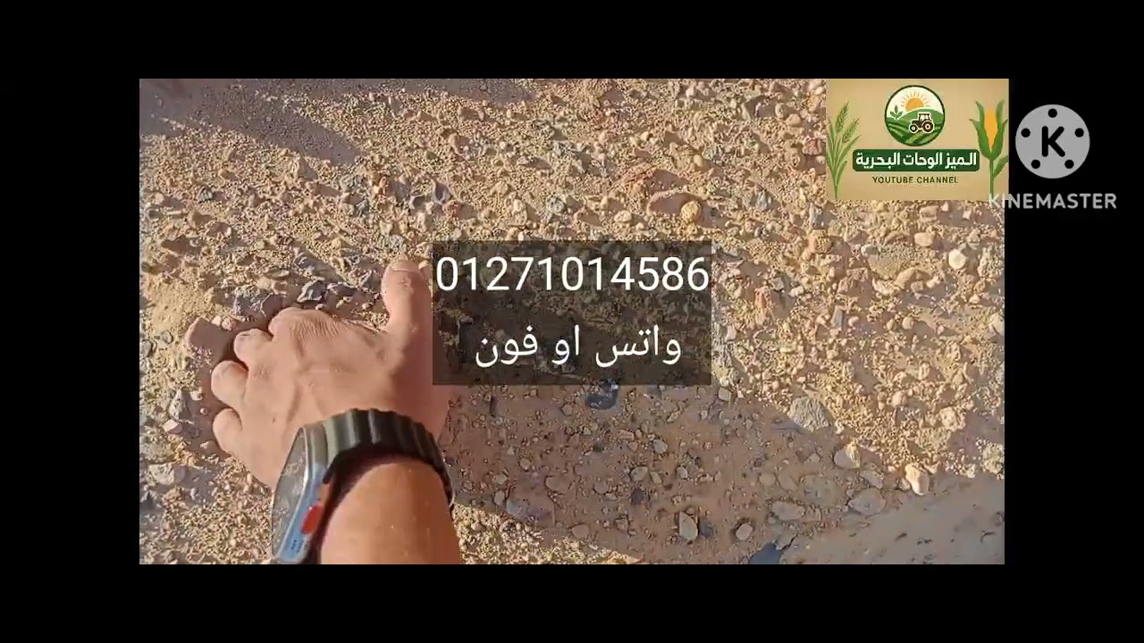 5افدنه للبيع ارض فاضيه ف الواحات البحريه تبعد عن الاسفلت 2كيلو ونصف #الواحات_البحرية #اكسبلور 