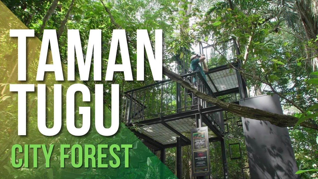 Hutan Di Kuala Lumpur (Taman Tugu Forest in Kuala Lumpur)